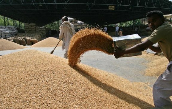  Patiala With 8.09 Lakh  Tonnes Of Wheat Procurement Stood At 3rd Spot