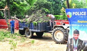  Patiala Police Officials Caught â€˜Stealingâ€™ Forest Wood