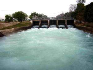 The Bhakra Level Reached 80 Ft Short Of Its Capacity In Patiala